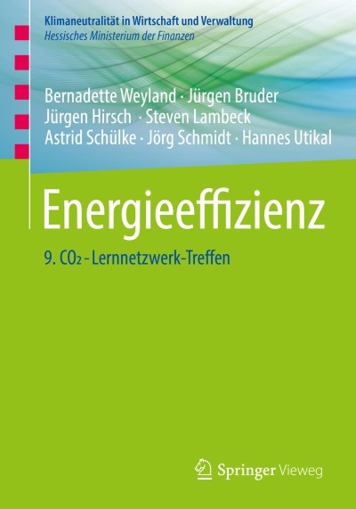 Link zu Buch Energieeffizienz