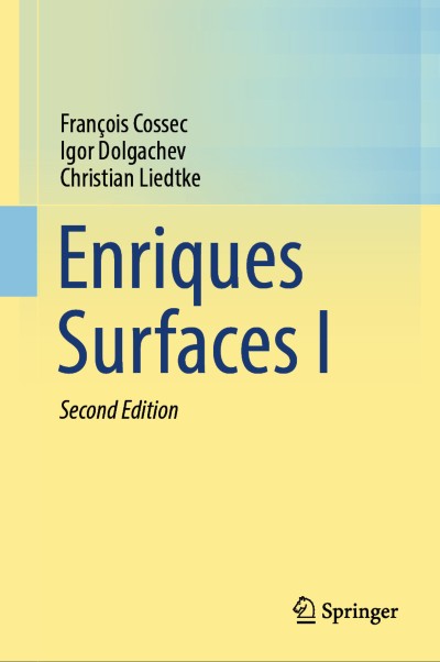 Enriques Surfaces I