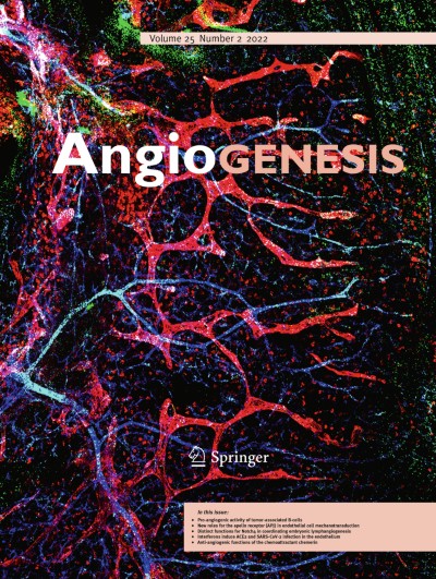 Skin Aging | Blood vessels sense dermal stiffness via a novel ...
