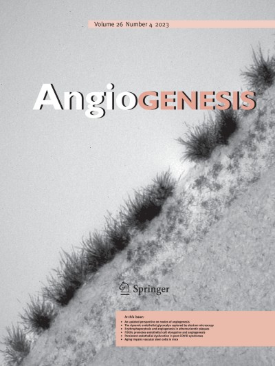 Angiogenesis 4/2023