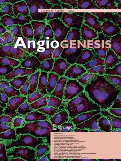 Angiogenesis 3/2024
