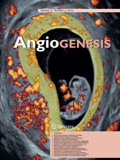 Angiogenesis 4/2024