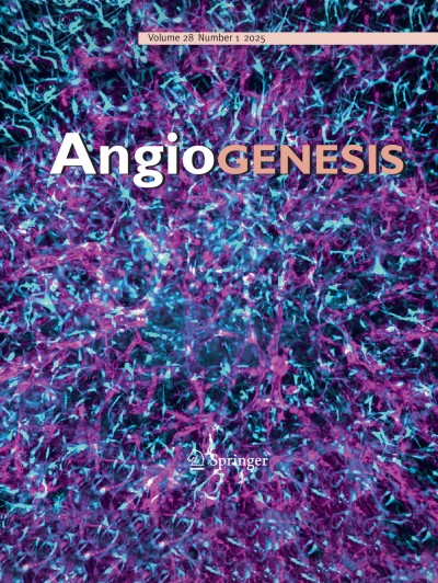 Angiogenesis 1/2025