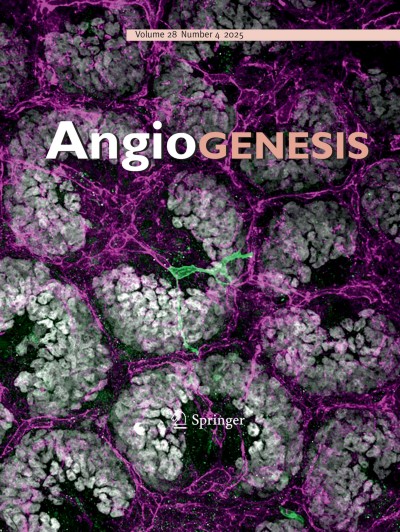Angiogenesis 4/2025