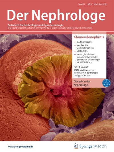 Link zu Zeitschrift Die Nephrologie