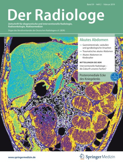 Link zu Zeitschrift Die Radiologie