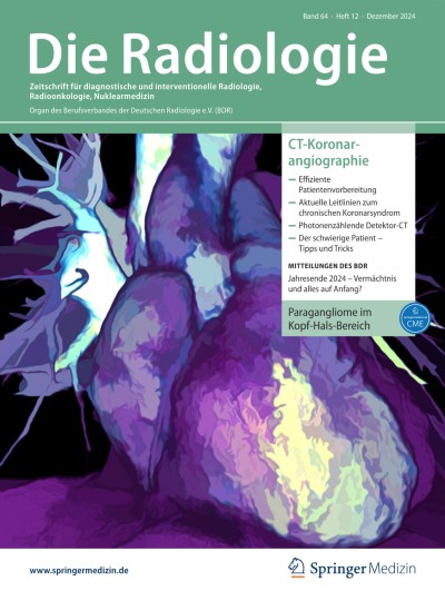 Ausgabe 12/2024