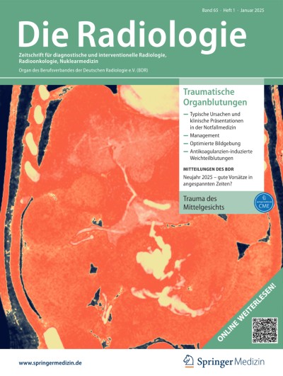 Ausgabe 1/2025