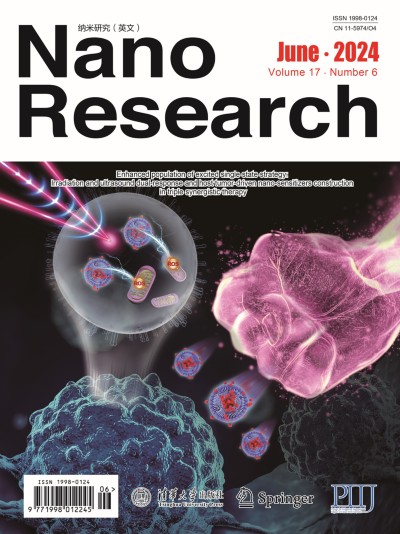 Nano Research 6/2024