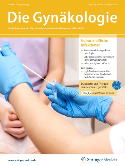 Ausgabe 8/2024