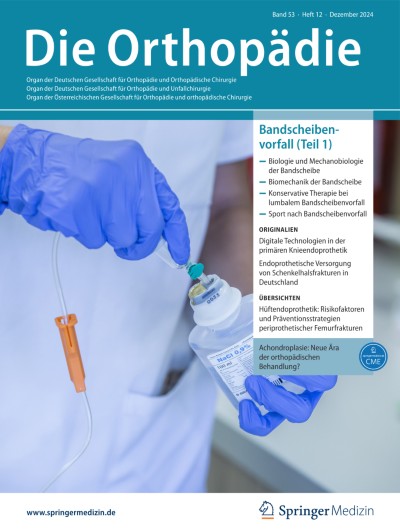 Ausgabe 12/2024