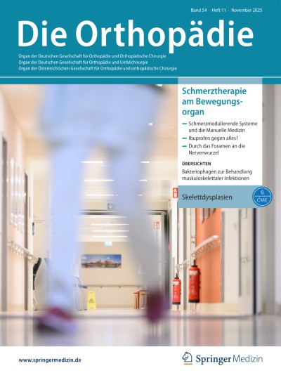 Die Orthopädie 11/2025