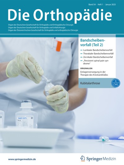 Ausgabe 1/2025