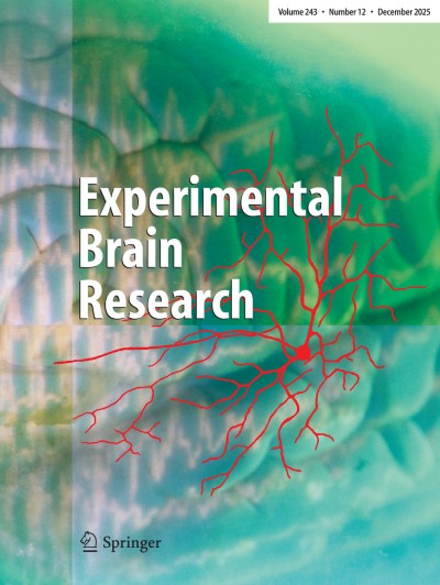 Experimental Brain Research 12/2025