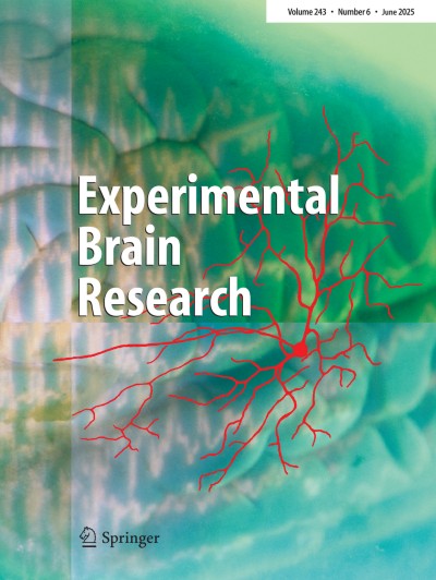 Experimental Brain Research 6/2025