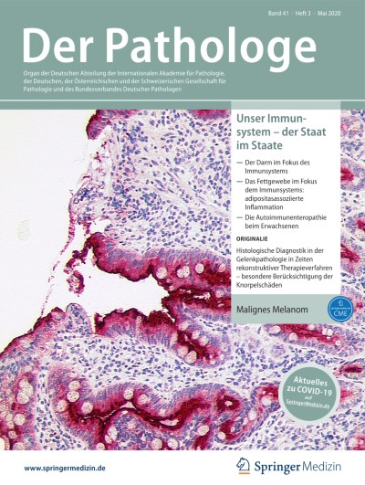 Link zu Zeitschrift Die Pathologie