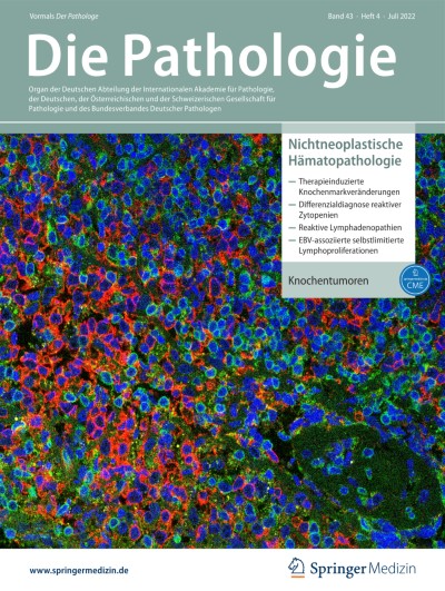 Link zu Zeitschrift Die Pathologie