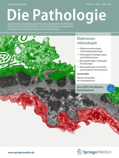 Ausgabe 2/2023