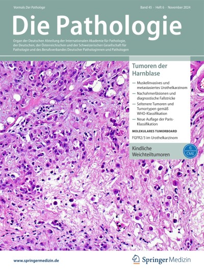 Ausgabe 6/2024