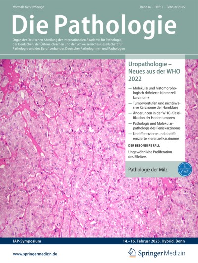 Pathologie der Milz