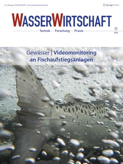 WASSERWIRTSCHAFT 11/2025