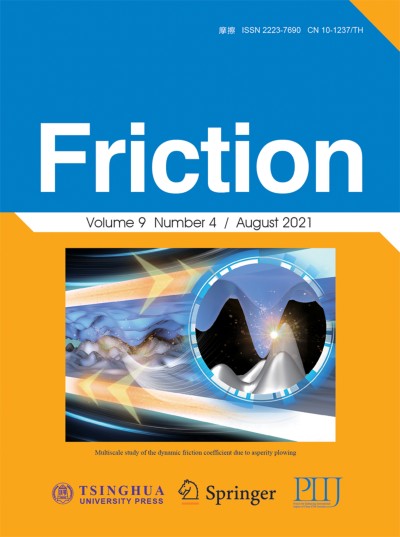 Link zu Zeitschrift Friction