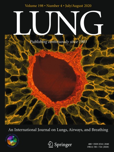 Lung 4/2020