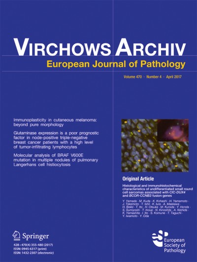 Virchows Archiv 4/2017