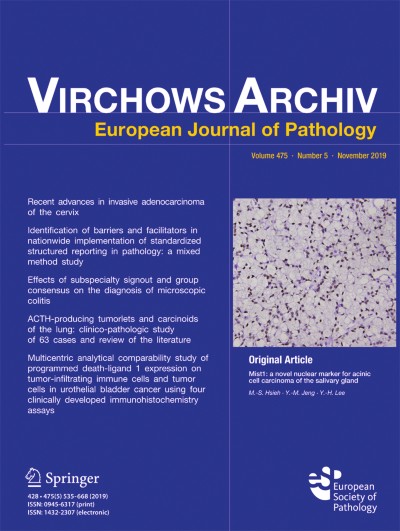 Virchows Archiv 5/2019