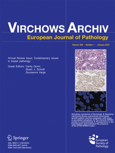 Virchows Archiv 1/2022
