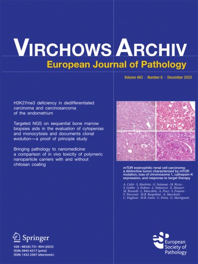 Virchows Archiv 6/2023