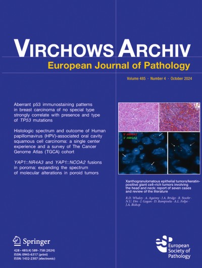 Virchows Archiv 4/2024