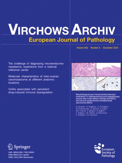 Virchows Archiv 6/2024