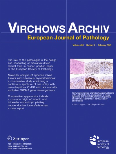 Virchows Archiv 2/2025