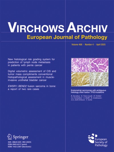 Virchows Archiv 4/2025