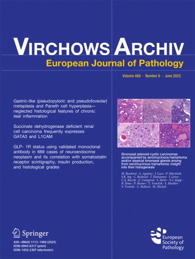 Virchows Archiv 6/2025
