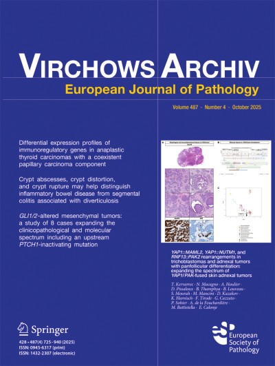 Virchows Archiv 4/2025