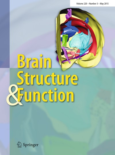 Brain Structure and Function 3/2015