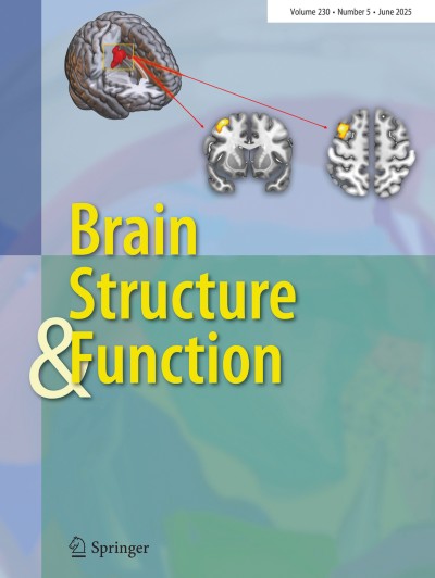 Brain Structure and Function 5/2025