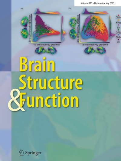Brain Structure and Function 6/2025