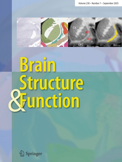 Brain Structure and Function | springermedicine.com