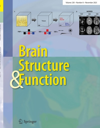 Brain Structure and Function 8/2025