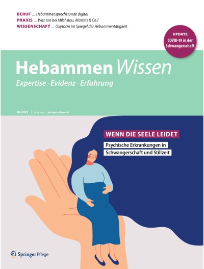 Link zu Zeitschrift Hebammen Wissen