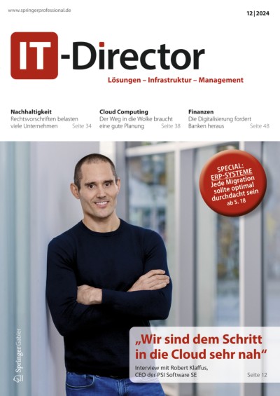IT-Director 12/2024