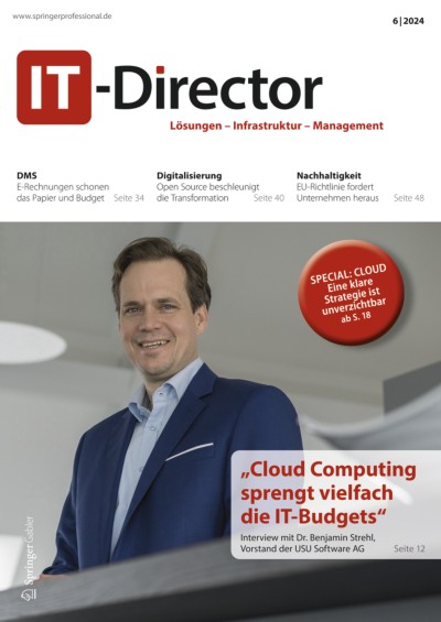 IT-Director 6/2024