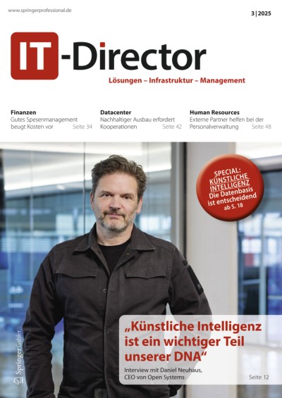 IT-Director 3/2025