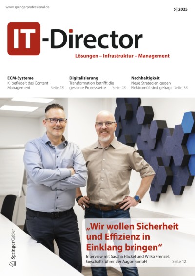 IT-Director 5/2025