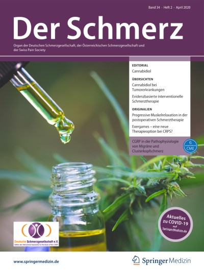 Der Schmerz 2/2020