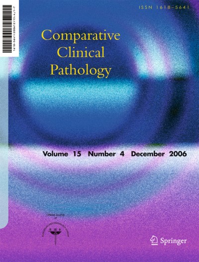 Comparative Clinical Pathology 4/2006