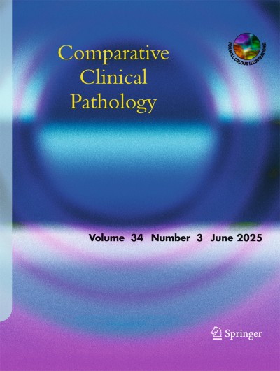 Comparative Clinical Pathology 3/2025